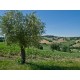 Properties for Sale_Farmhouses to restore_OLD FARMHOUSE WITH SEA VIEW FOR SALE IN LE MARCHE Country house to restore with panoramic view in central Italy in Le Marche_25